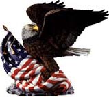 Eagle with Flag